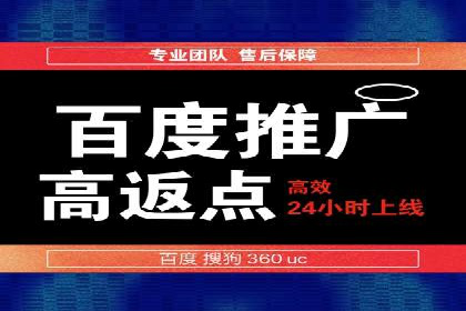 某行业SEM竞价策略的运营实践与效果