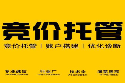成功案例解析：SEM竞价员策略